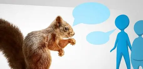 Squirrel talking to people